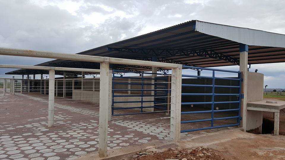 Cal&ccedil;amento para curral 